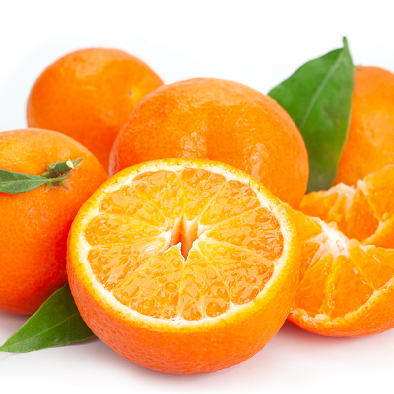 🍊하우스 감귤🍊