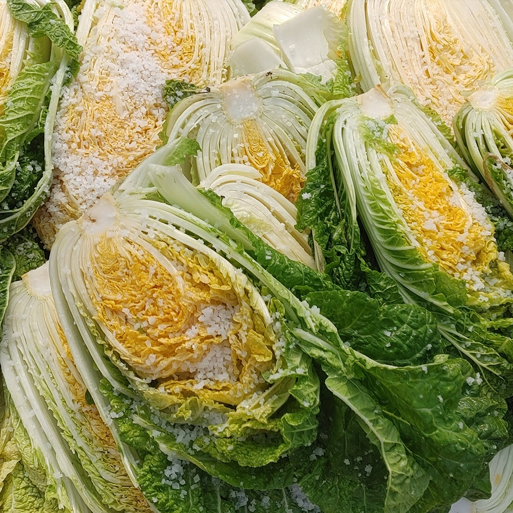 HACCP 해남 절임배추